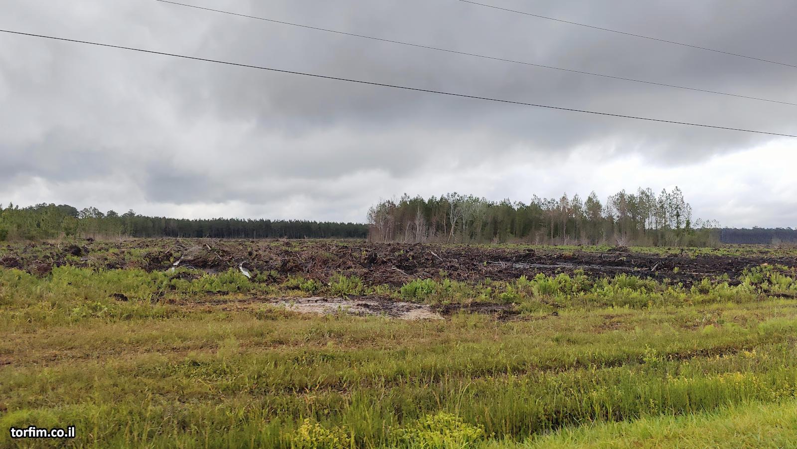 הרס בתי גידול שראינו לאורך כל הנסיעה