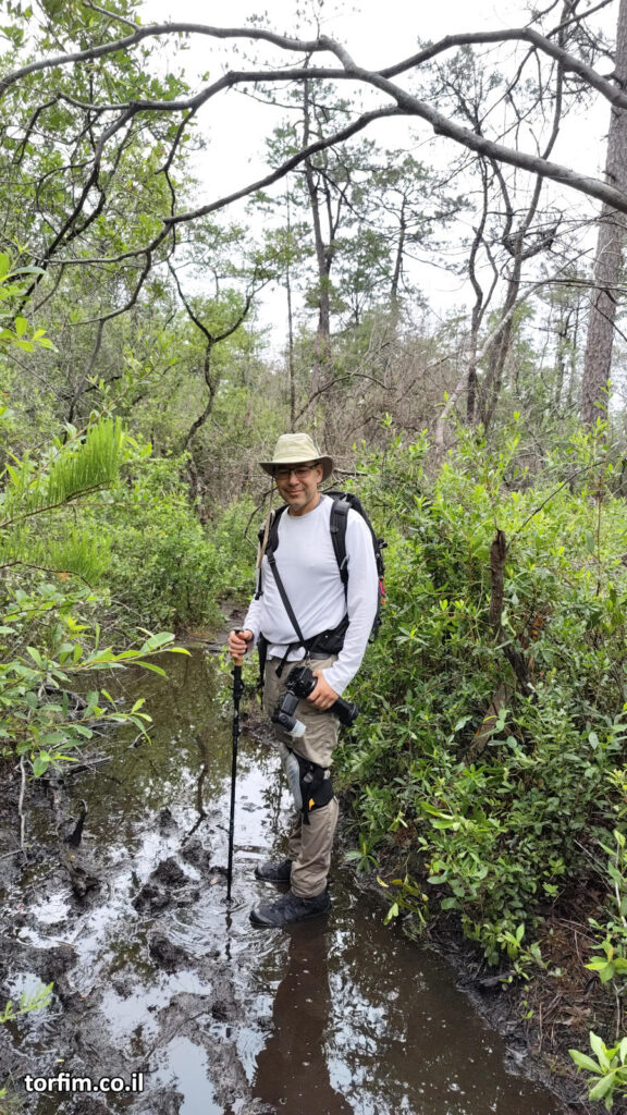 Yaron at Green Swamp, NC 06/06/2025