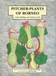 Picher Plants of Borneo