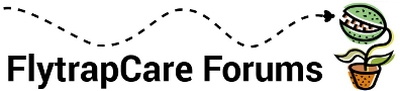 Flytrapcare forums